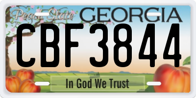 GA license plate CBF3844