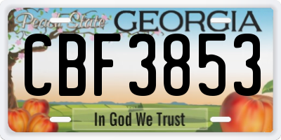 GA license plate CBF3853