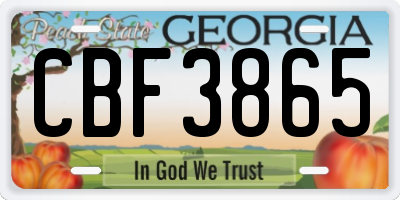 GA license plate CBF3865