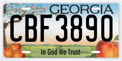 GA license plate CBF3890