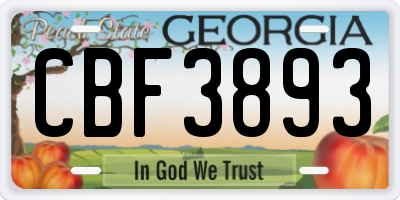 GA license plate CBF3893