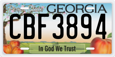 GA license plate CBF3894