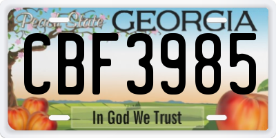 GA license plate CBF3985