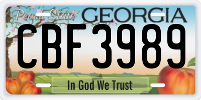 GA license plate CBF3989