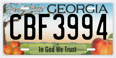 GA license plate CBF3994