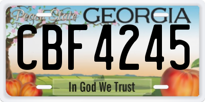 GA license plate CBF4245