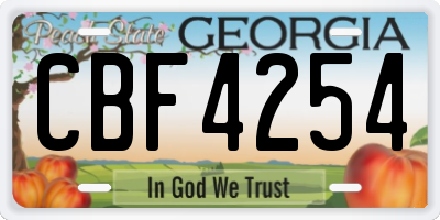 GA license plate CBF4254