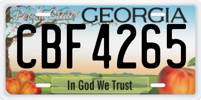GA license plate CBF4265