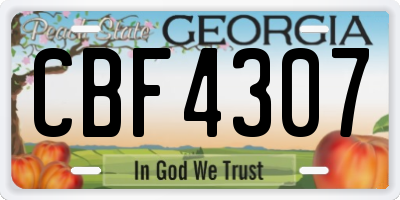 GA license plate CBF4307