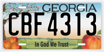 GA license plate CBF4313