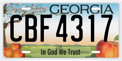 GA license plate CBF4317