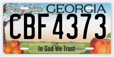 GA license plate CBF4373