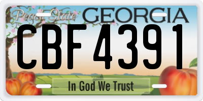 GA license plate CBF4391