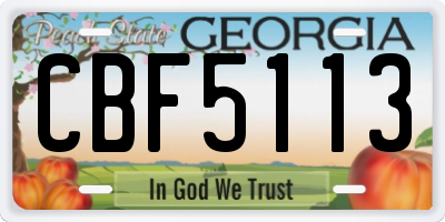 GA license plate CBF5113