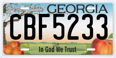 GA license plate CBF5233