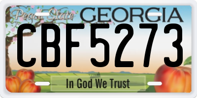 GA license plate CBF5273