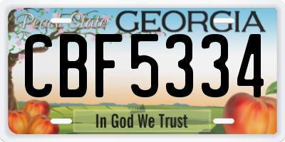 GA license plate CBF5334