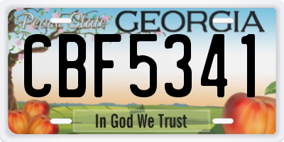 GA license plate CBF5341