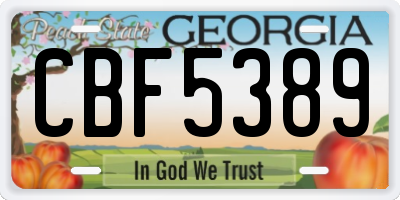 GA license plate CBF5389