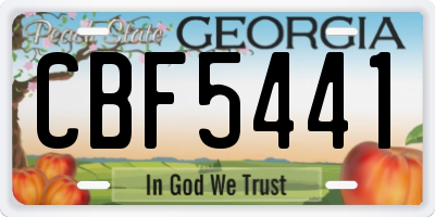 GA license plate CBF5441