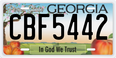 GA license plate CBF5442