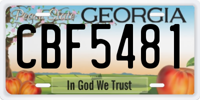 GA license plate CBF5481