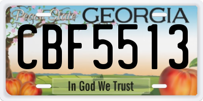 GA license plate CBF5513