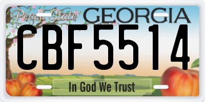 GA license plate CBF5514