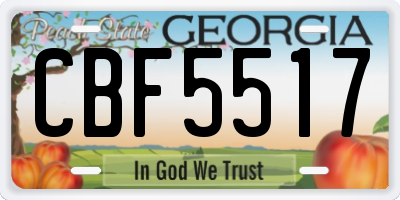 GA license plate CBF5517