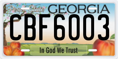 GA license plate CBF6003