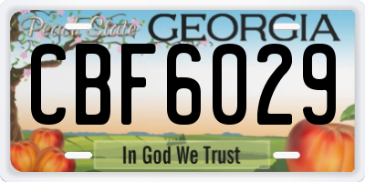 GA license plate CBF6029