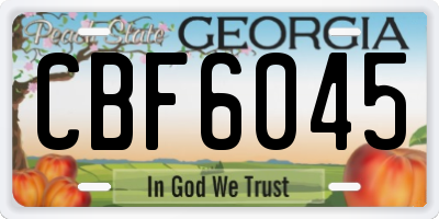 GA license plate CBF6045