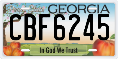 GA license plate CBF6245