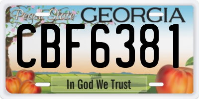 GA license plate CBF6381