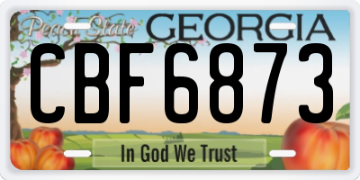 GA license plate CBF6873