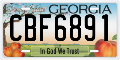 GA license plate CBF6891
