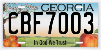 GA license plate CBF7003