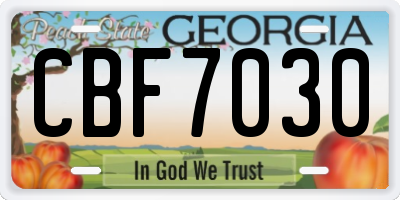 GA license plate CBF7030