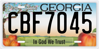 GA license plate CBF7045