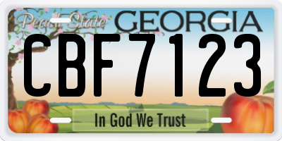 GA license plate CBF7123