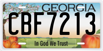 GA license plate CBF7213