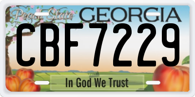 GA license plate CBF7229
