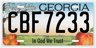 GA license plate CBF7233