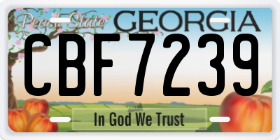 GA license plate CBF7239