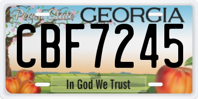 GA license plate CBF7245
