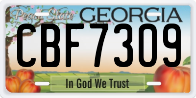 GA license plate CBF7309