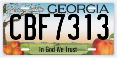 GA license plate CBF7313