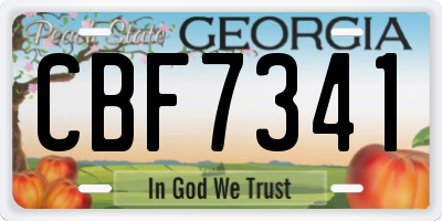 GA license plate CBF7341