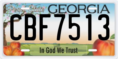 GA license plate CBF7513