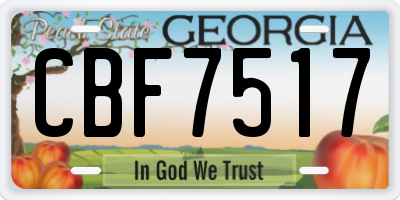 GA license plate CBF7517